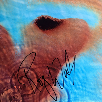 myRockworld memorabilia: Pink Floyd - Album Meddle - 1971 - Vinyl - signed by Roger Waters
